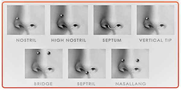 nose-piercing-names