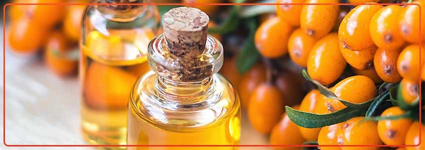 Sea-Buckthorn-Oil-Benefits
