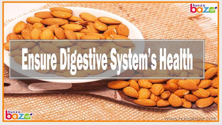 Almond Ensure Digestive System Health