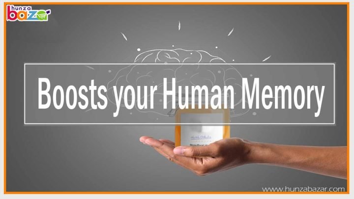 Boosts your Human Memory